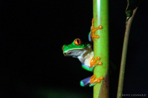 IMG_6107LRmit mark.jpg