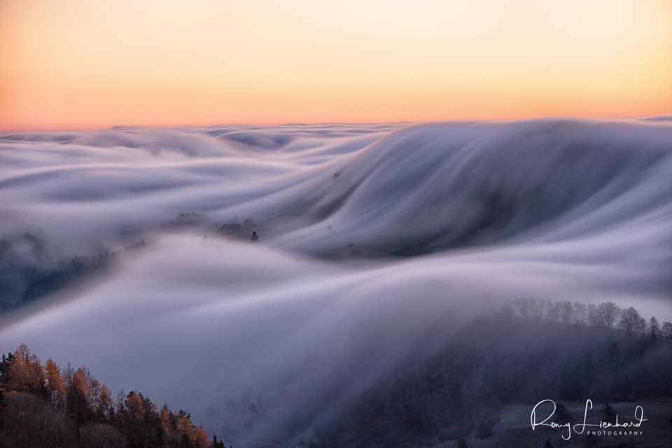 Fog Wave