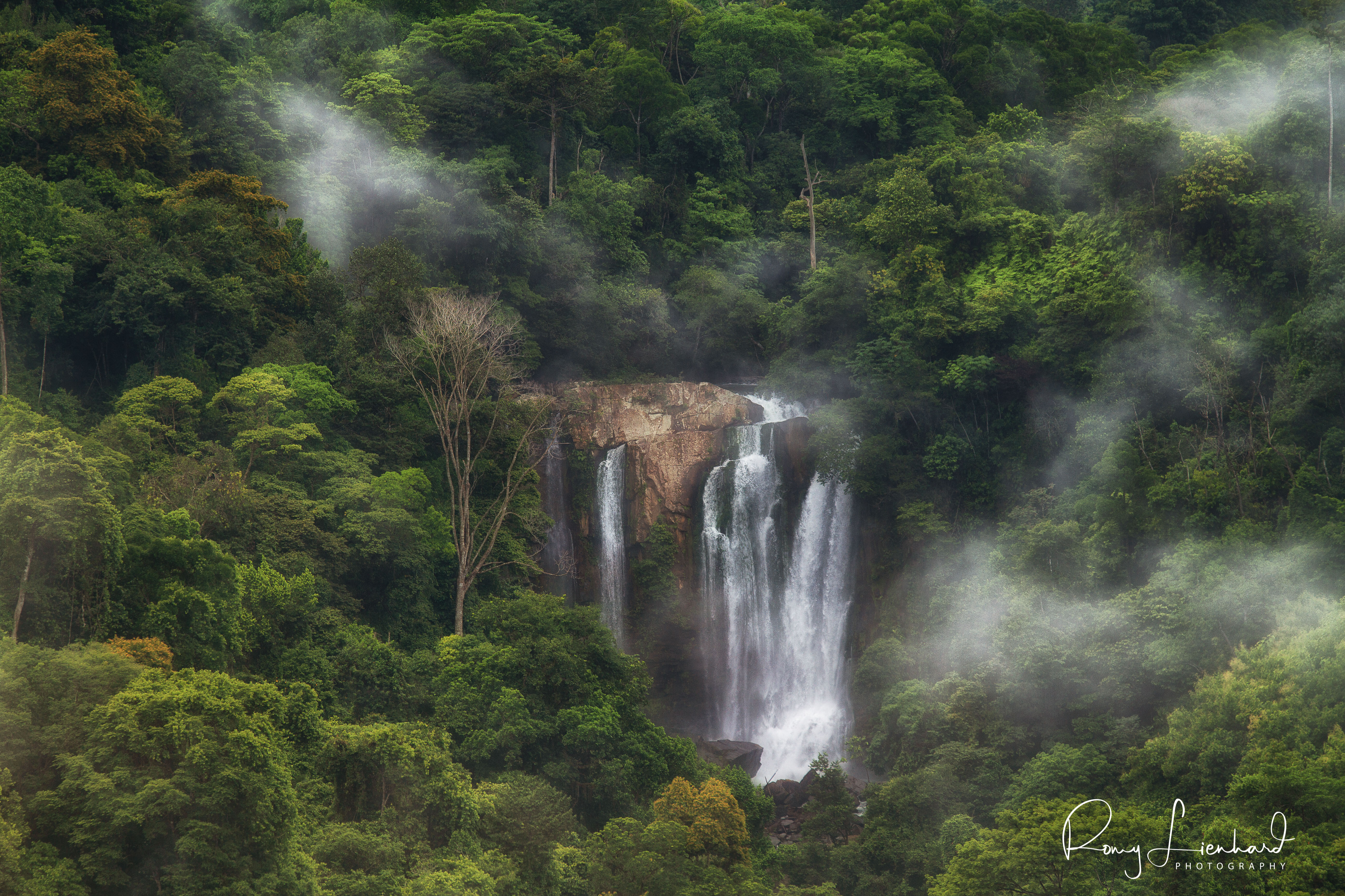 Waterfall in the Jungle