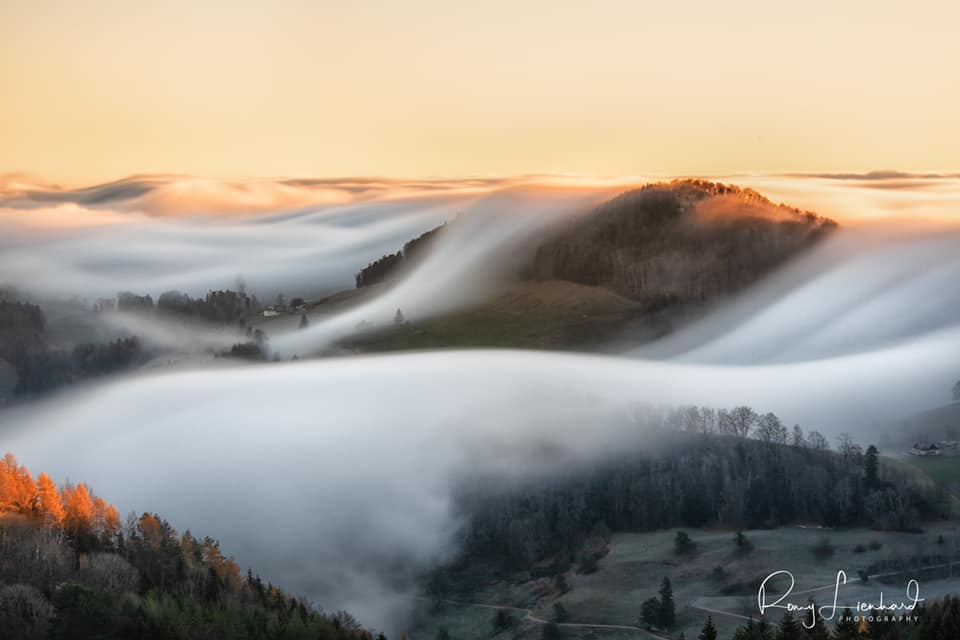 Fog Wave