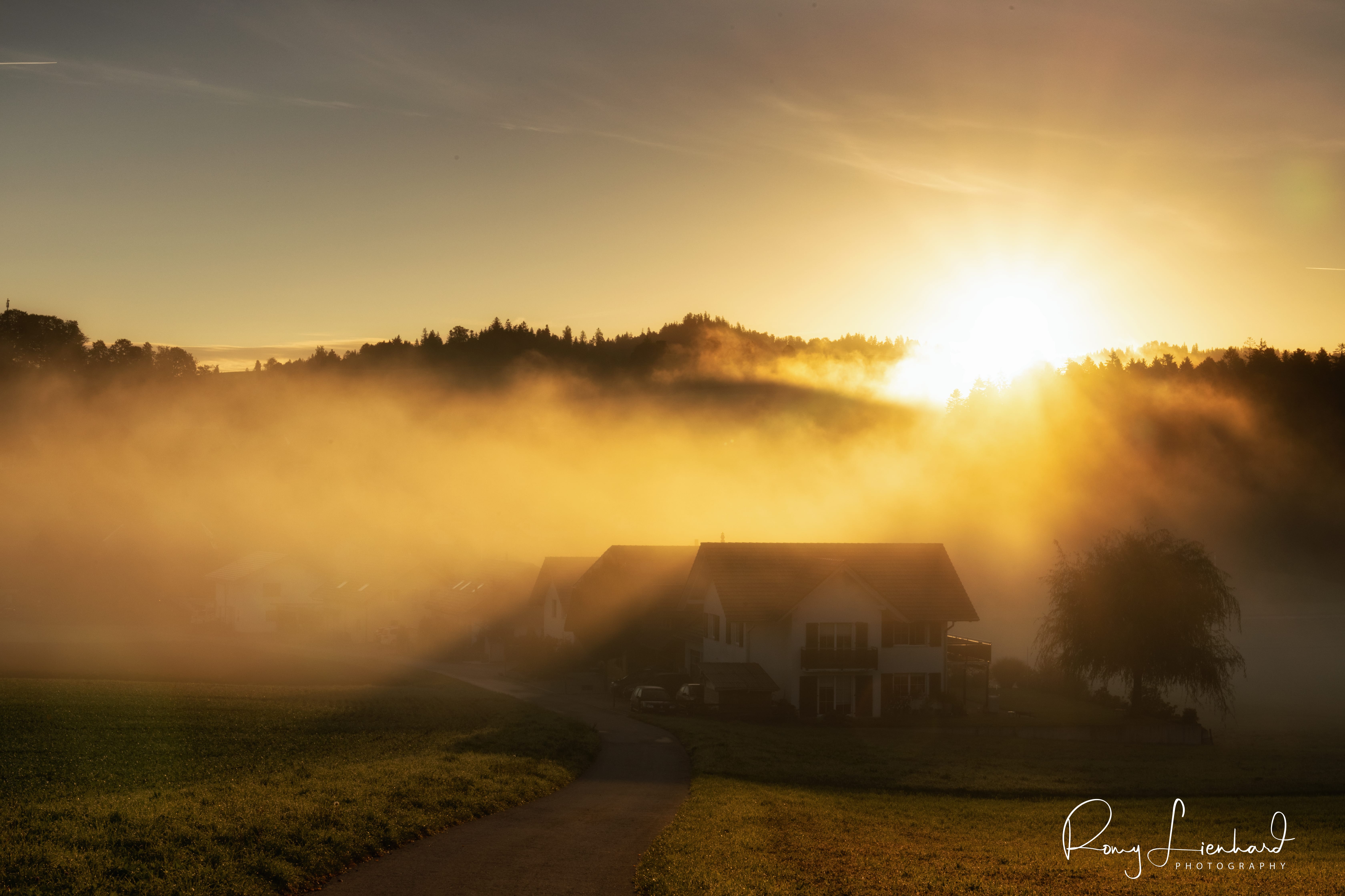 Sunrise Emmental