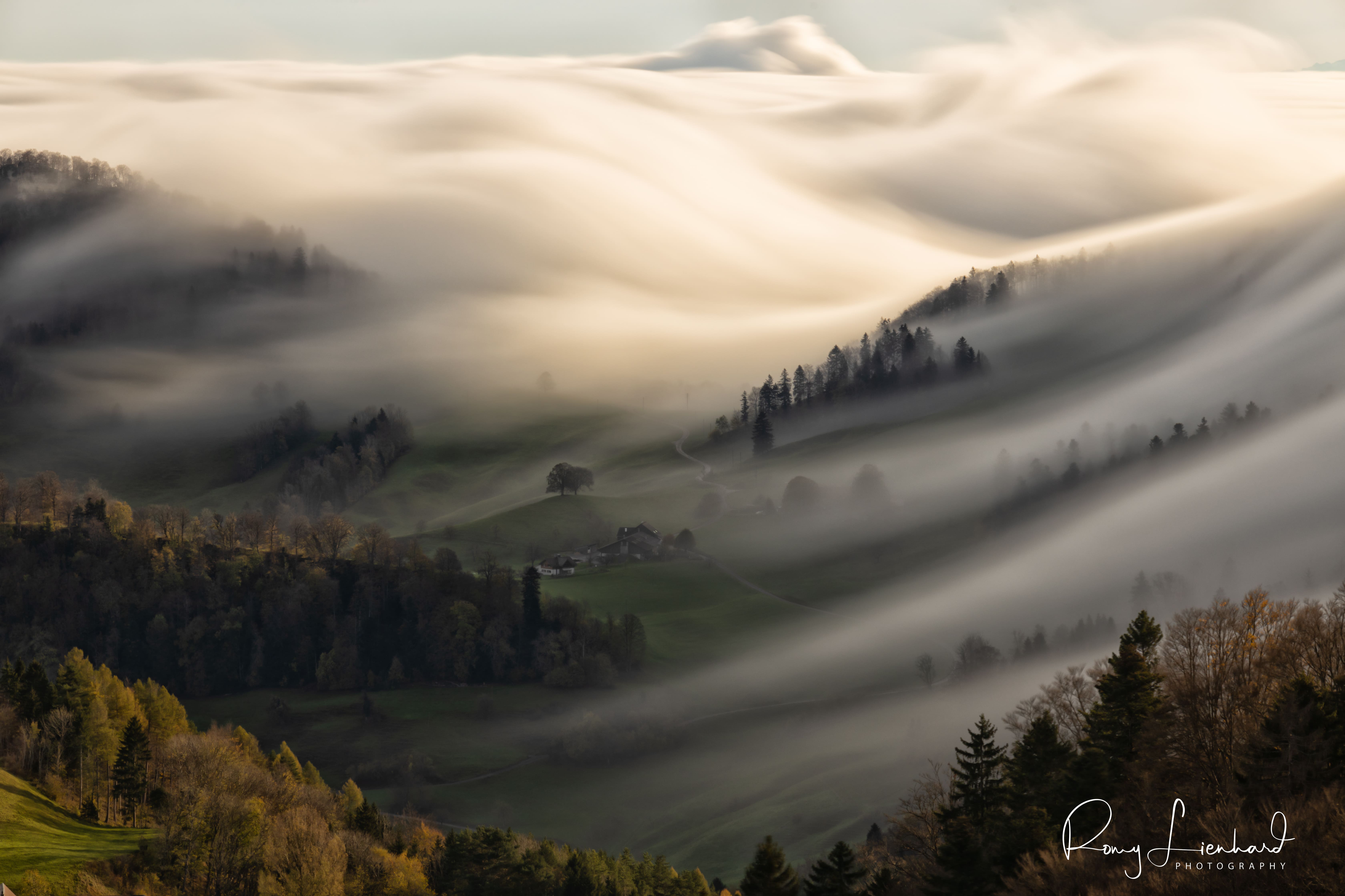 Nebelwelle - Fogwave