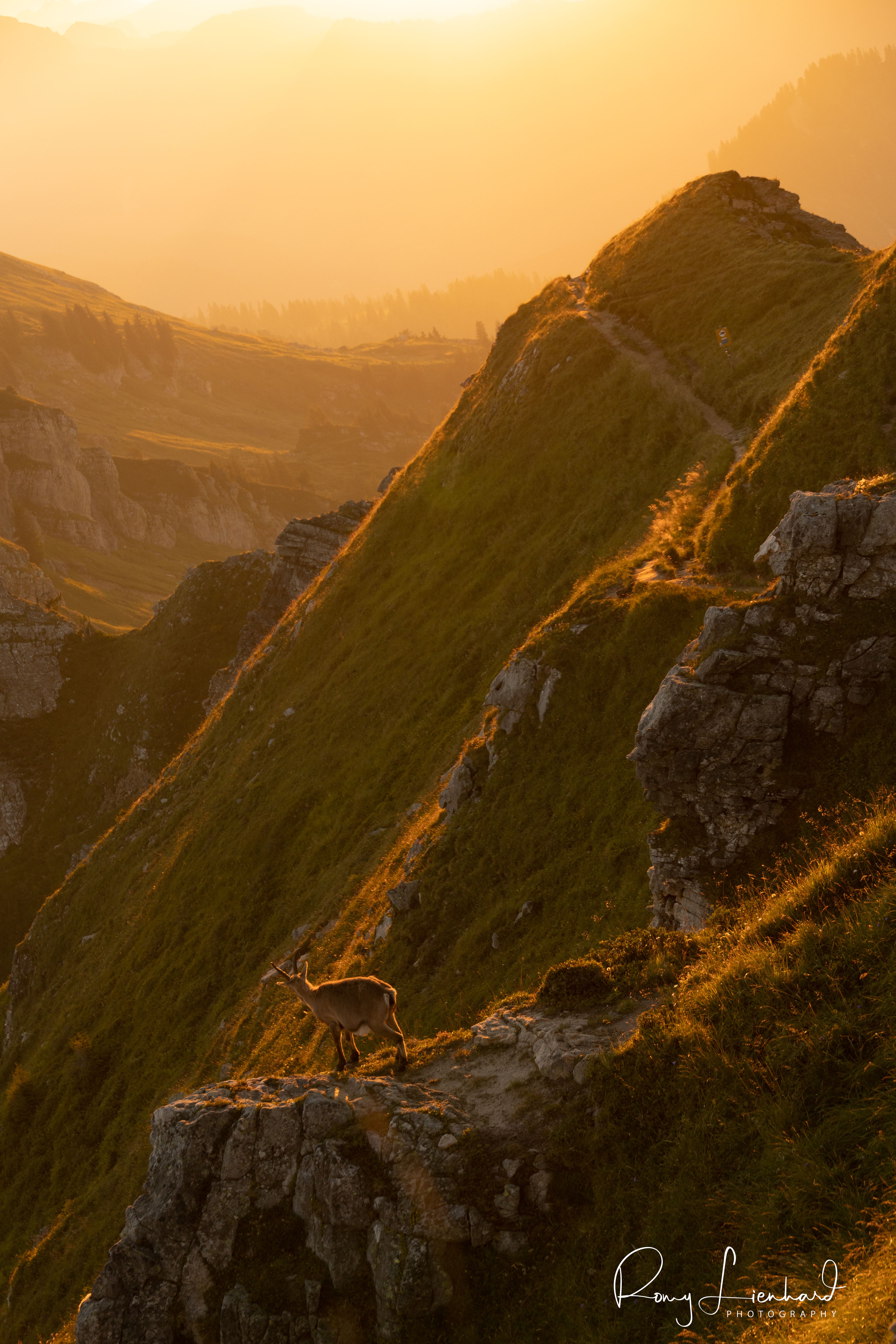 Sunrise in the Bernese Alps